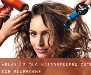 Arnay-le-Duc hairdressers (Cote d'Or, Bourgogne)