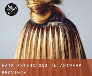 Hair Extensions in Antwerp Province