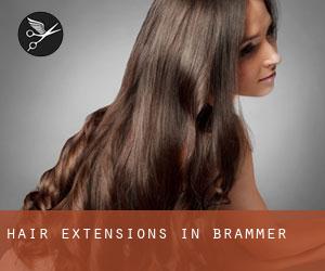 Hair Extensions in Brammer