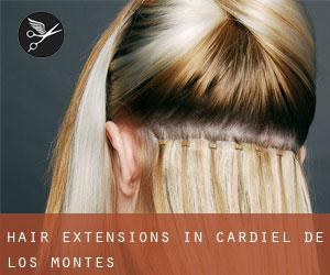 Hair Extensions in Cardiel de los Montes