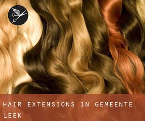 Hair Extensions in Gemeente Leek