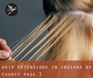 Hair Extensions in Indiana by County - page 1