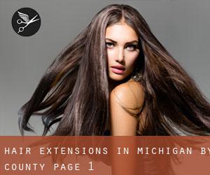 Hair Extensions in Michigan by County - page 1