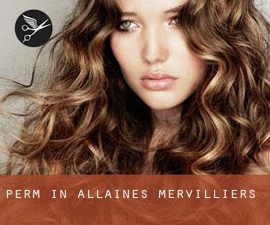 Perm in Allaines-Mervilliers