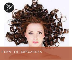 Perm in Barcarena Perm in Barcarena