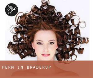 Perm in Braderup