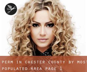 Perm in Chester County by most populated area - page 1