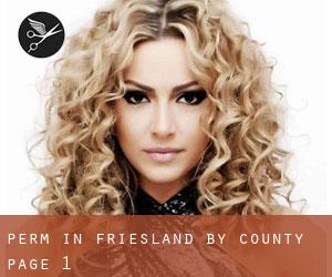 Perm in Friesland by County - page 1