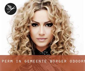 Perm in Gemeente Borger-Odoorn Perm in Gemeente Borger-Odoorn