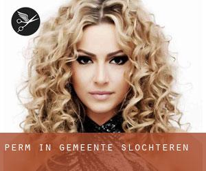 Perm in Gemeente Slochteren Perm in Gemeente Slochteren