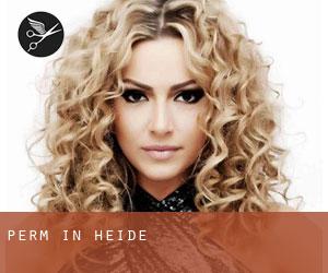 Perm in Heide Perm in Heide