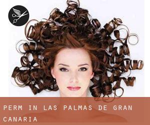 Perm in Las Palmas de Gran Canaria Perm in Las Palmas de Gran Canaria
