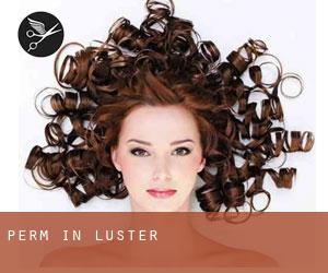 Perm in Luster