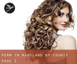 Perm in Maryland by County - page 1
