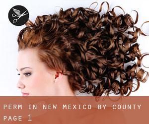 Perm in New Mexico by County - page 1