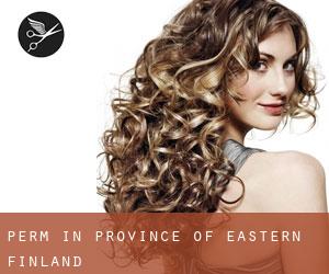 Perm in Province of Eastern Finland Perm in Province of Eastern Finland