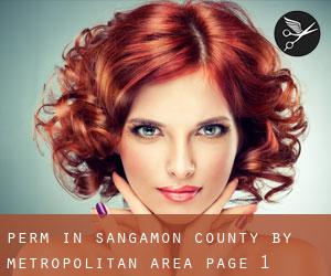 Perm in Sangamon County by metropolitan area - page 1