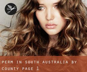 Perm in South Australia by County - page 1