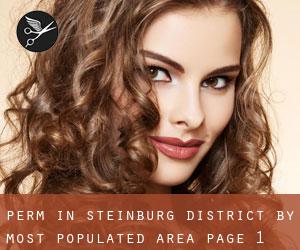 Perm in Steinburg District by most populated area - page 1
