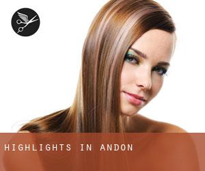 Highlights in Andon