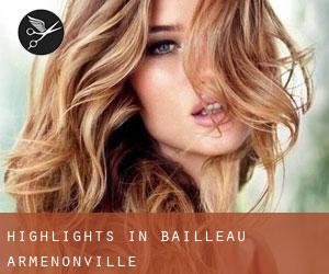 Highlights in Bailleau-Armenonville