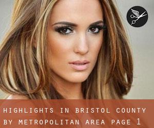 Highlights in Bristol County by metropolitan area - page 1