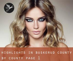 Highlights in Buskerud county by County - page 1