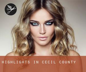 Highlights in Cecil County