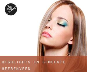 Highlights in Gemeente Heerenveen