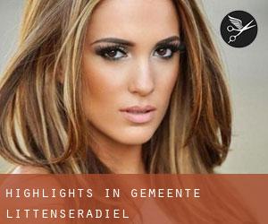 Highlights in Gemeente Littenseradiel Highlights in Gemeente Littenseradiel