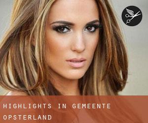 Highlights in Gemeente Opsterland