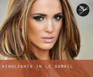 Highlights in Le Somail