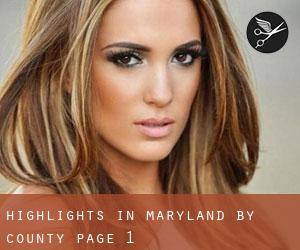 Highlights in Maryland by County - page 1