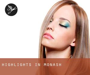 Highlights in Monash