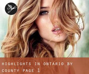 Highlights in Ontario by County - page 1