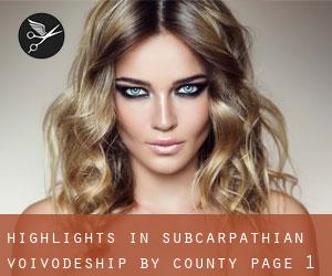 Highlights in Subcarpathian Voivodeship by County - page 1