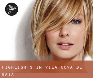 Highlights in Vila Nova de Gaia