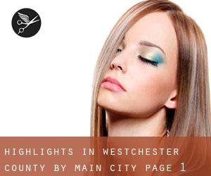 Highlights in Westchester County by main city - page 1
