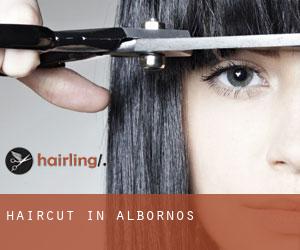 Haircut in Albornos