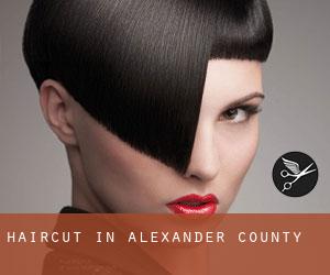 Haircut in Alexander County