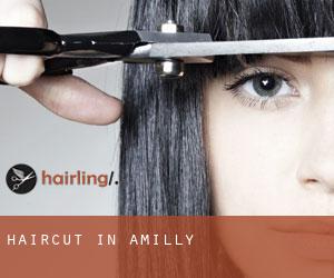 Haircut in Amilly