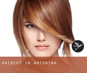 Haircut in Antonina