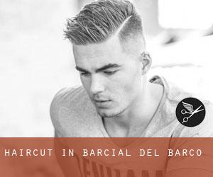 Haircut in Barcial del Barco