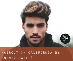Haircut in California by County - page 1