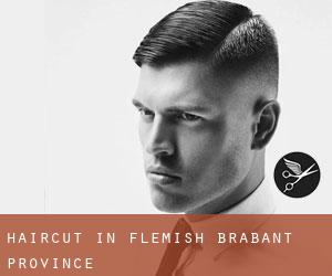 Haircut in Flemish Brabant Province