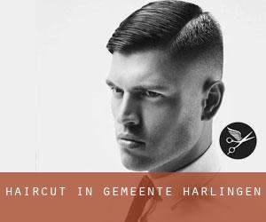 Haircut in Gemeente Harlingen