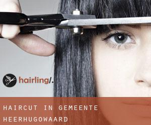 Haircut in Gemeente Heerhugowaard