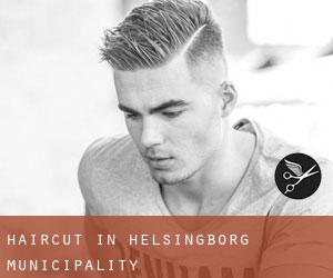 Haircut in Helsingborg Municipality