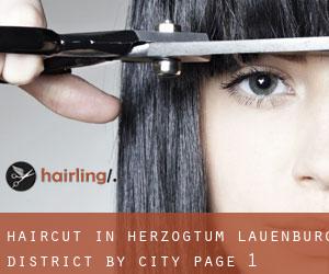 Haircut in Herzogtum Lauenburg District by city - page 1
