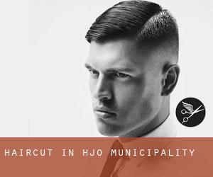 Haircut in Hjo Municipality